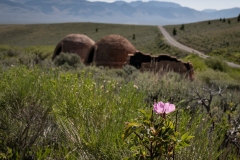 Charcoal Kilns Historic Site