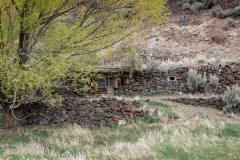 Richard Zimmerman, best known as a hermit called Dugout Dick, lived along the Salmon River, photographed on Sunday, May 9, 2021, in Salmon, Idaho. He created a series of dugouts, cabins and an orchard, and charged visitors to tour the property and stay in a cabin. He was a squatter until the Bureau of Land Management granted him a lifetime lease. One of his cabins has been preserved and can be found along Loening Road.  (© 2021 Cindi Christie/Cyanpixel)