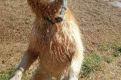 Freyja 2012