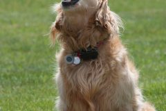 Freyja 2016