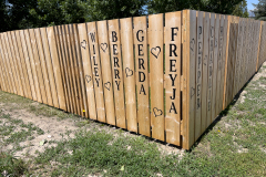 Freyja 2022