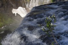 Upper Mesa Falls