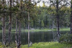 Henry’s Fork of the Snake River