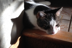 20141009_Jasper_06