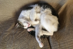20160806_Jasper_09