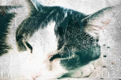 20170107_Jasper_11