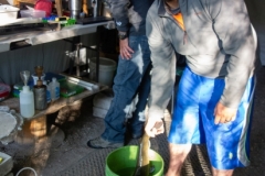 Lemhi River Fish Study