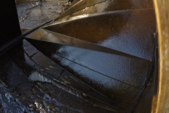 Lemhi River Fish Study