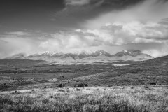 Cattle Drive