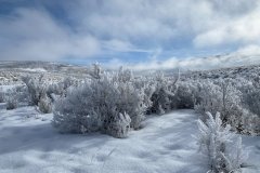 Winter wonderland