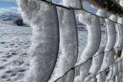 Winter wonderland