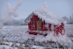 Winter wonderland