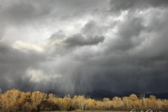 Scenes of Idaho