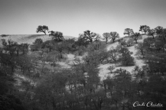 20190205_winter_05