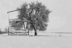 Snow decorates the Doubletree Ranch beaverslide on Friday, Feb. 7, 2020, in Salmon, Idaho.  (© 2020 Cindi Christie/Cyanpixel)