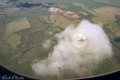 Hawaiian Airlines