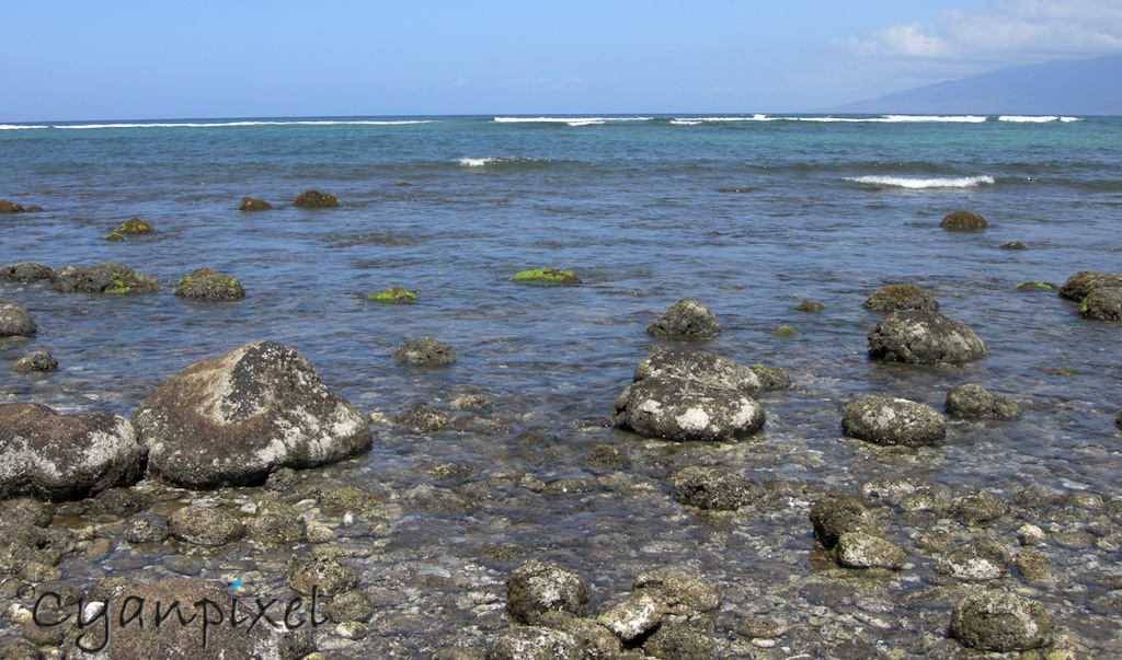 Low tide is a great time to explore the beaches in Maui, Hawaii, on April 29, 2009. (© 2009 Cindi Christie)
