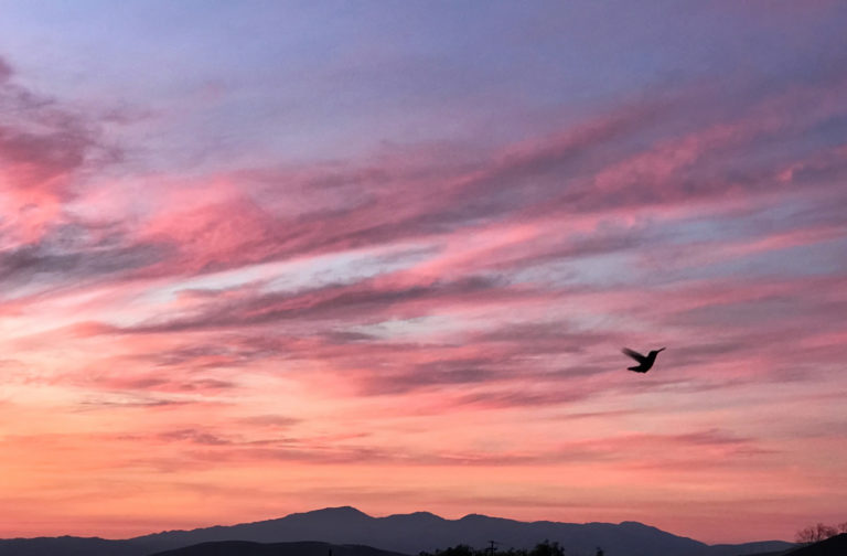 Magic in the sunset