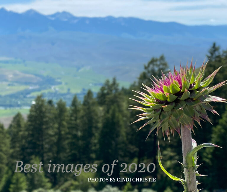 Best of 2020 photo e-book