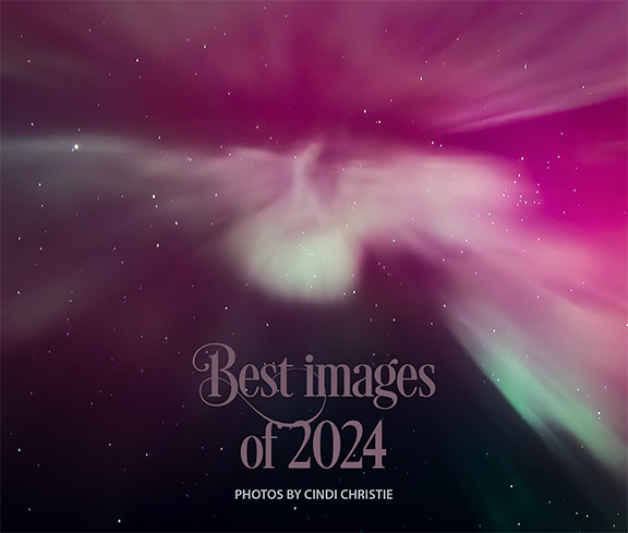 Best of 2024 photo e-book
