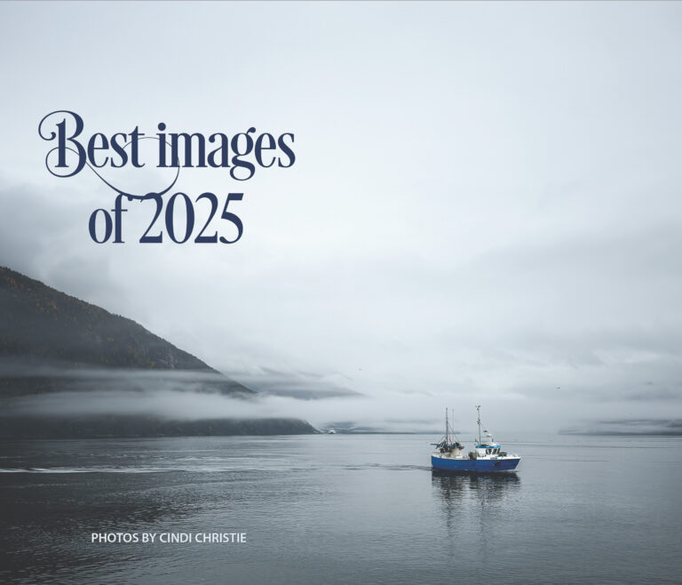 Best of 2025 photo e-book